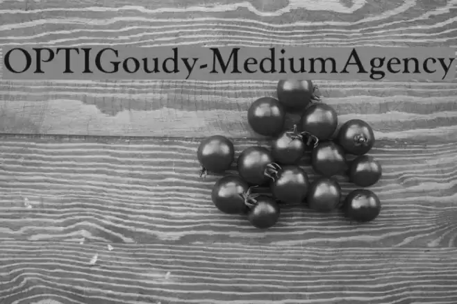 OPTIGoudy-MediumAgency خط examples