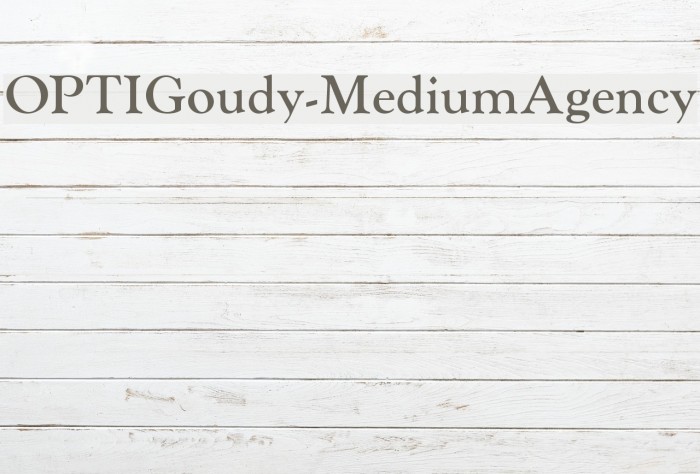 OPTIGoudy-MediumAgency Font examples