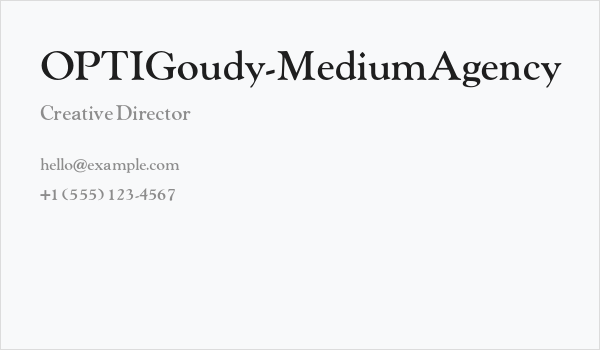 OPTIGoudy-MediumAgency Business Card