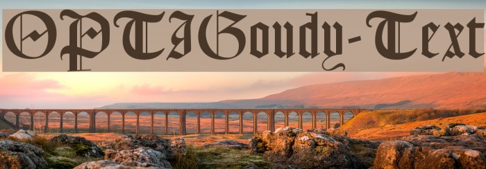 OPTIGoudy-Text Font examples