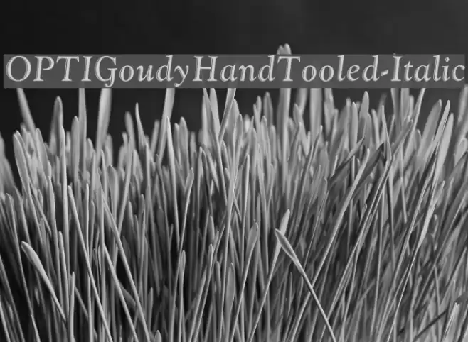 OPTIGoudyHandTooled-Italic Font examples