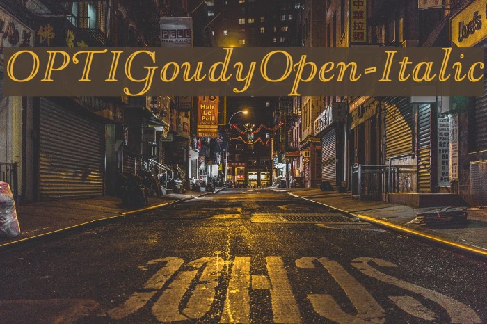 OPTIGoudyOpen-Italic Font examples