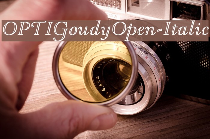 OPTIGoudyOpen-Italic Font examples