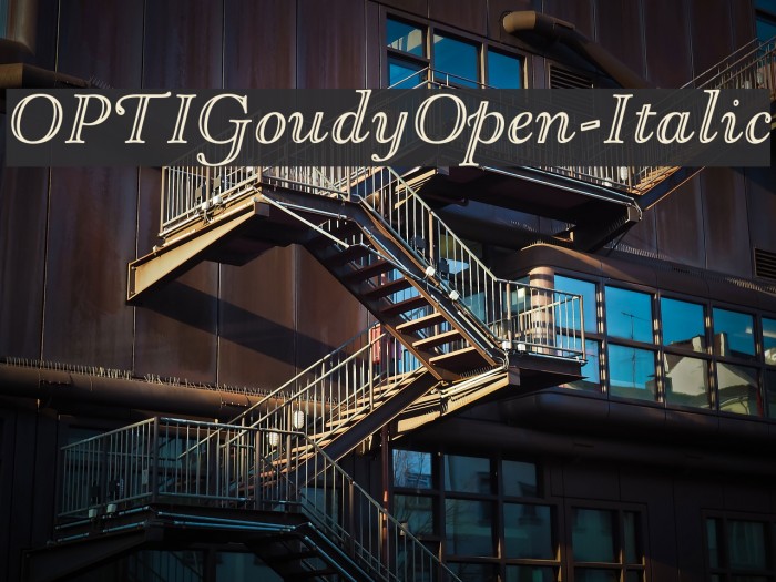 OPTIGoudyOpen-Italic Font examples