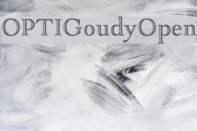 OPTIGoudyOpen Example 2