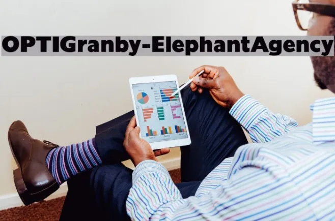 OPTIGranby-ElephantAgency Example 3
