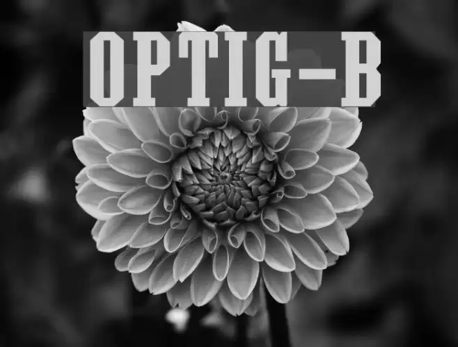 OPTIGrecian-Bold Fonte examples