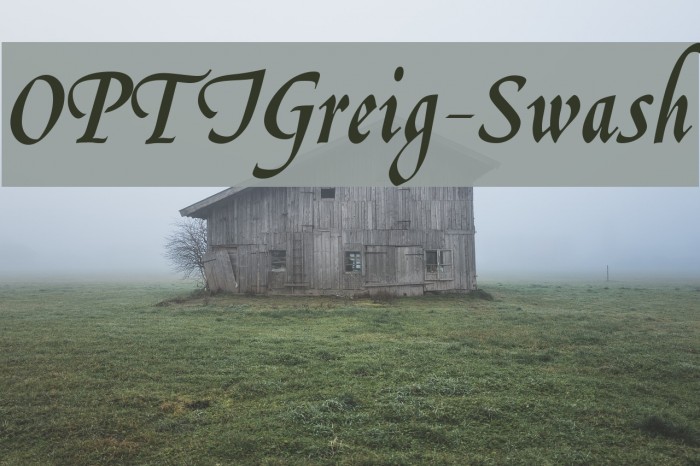 OPTIGreig-Swash Font examples