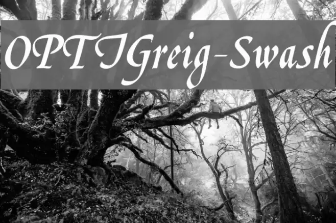 OPTIGreig-Swash Font examples