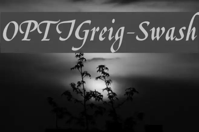 OPTIGreig-Swash Font examples