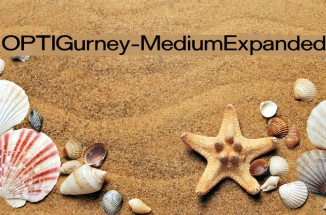 OPTIGurney-MediumExpanded Example 3