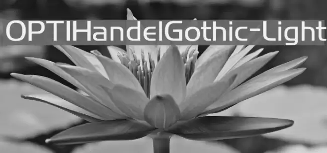 OPTIHandelGothic-Light Font examples