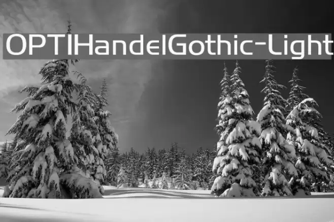 OPTIHandelGothic-Light Font examples