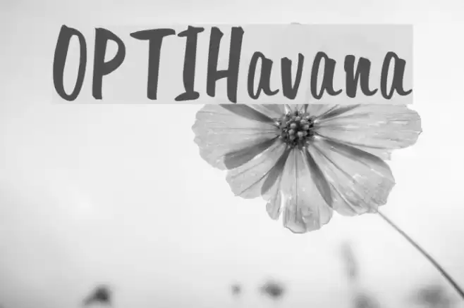 OPTIHavana Fonte examples