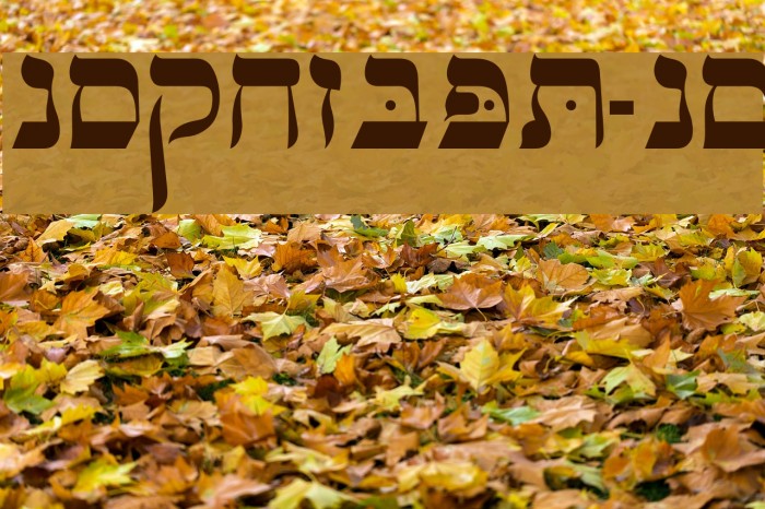 OPTIHebrew-One Example 1