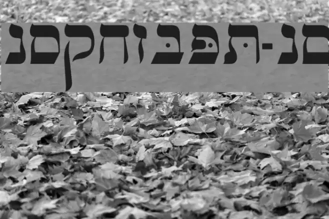 OPTIHebrew-One Font examples