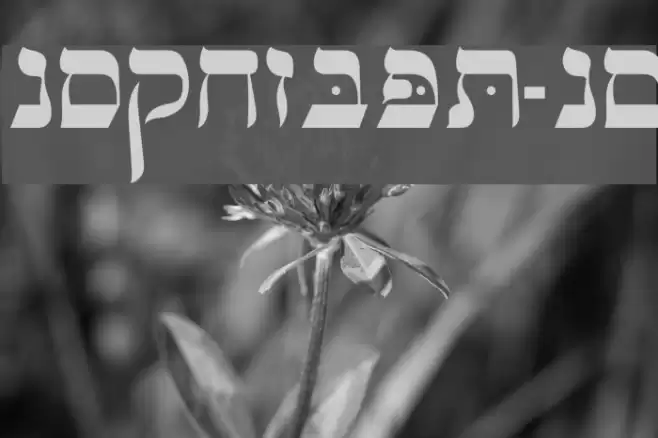 OPTIHebrew-One Font examples