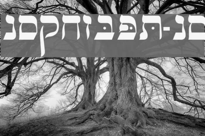 OPTIHebrew-One Font examples
