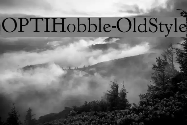 OPTIHobble-OldStyle Font examples