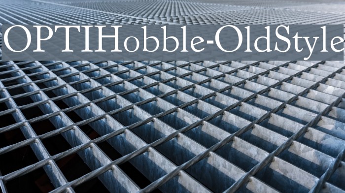 OPTIHobble-OldStyle Font examples