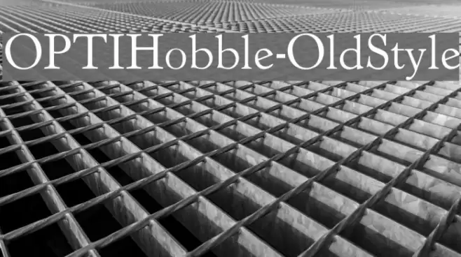 OPTIHobble-OldStyle Font examples
