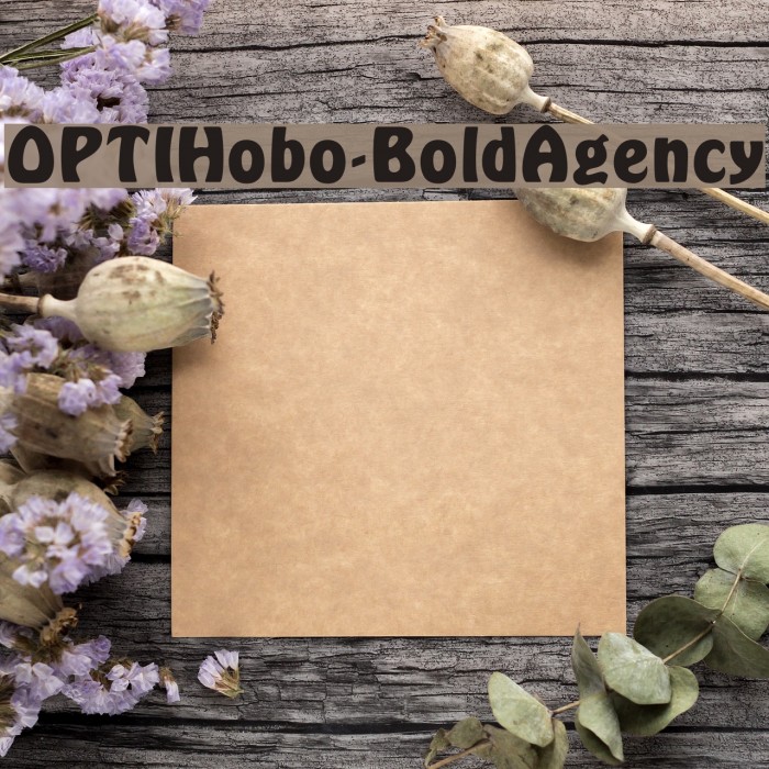 OPTIHobo-BoldAgency Fonte examples
