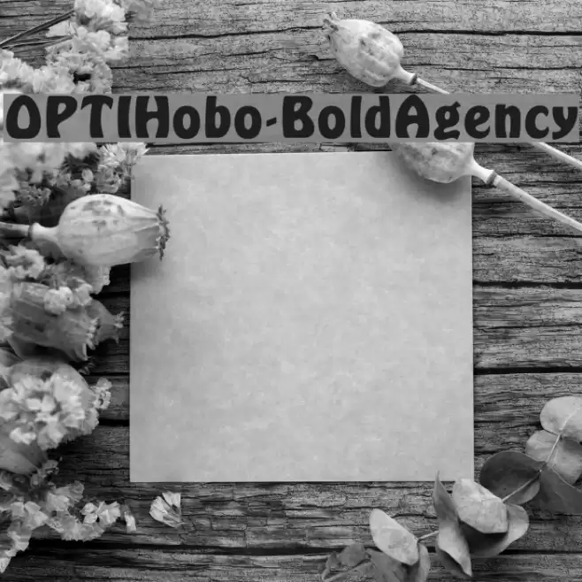 OPTIHobo-BoldAgency Font examples