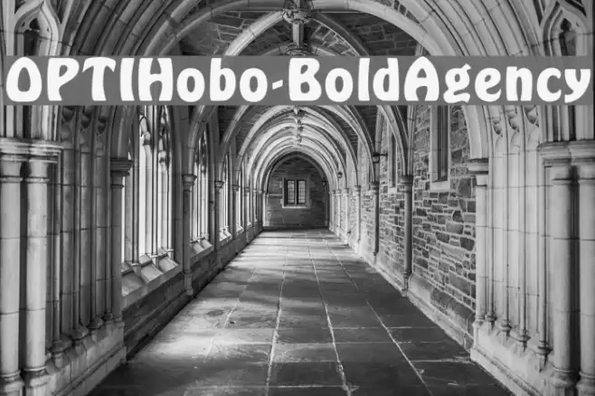 OPTIHobo-BoldAgency Font examples