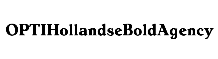 OPTIHollandseBoldAgency 