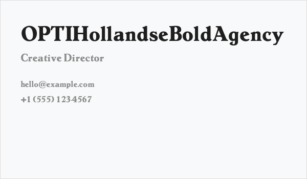 OPTIHollandseBoldAgency Business Card