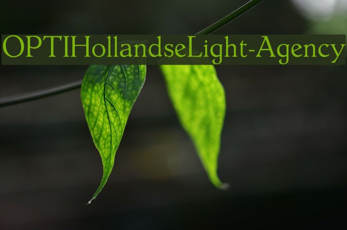OPTIHollandseLight-Agency Font examples