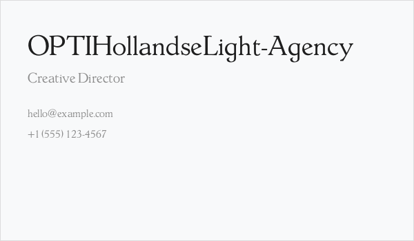 OPTIHollandseLight-Agency Business Card