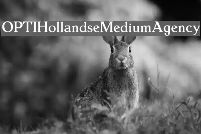 OPTIHollandseMediumAgency Schriftart examples