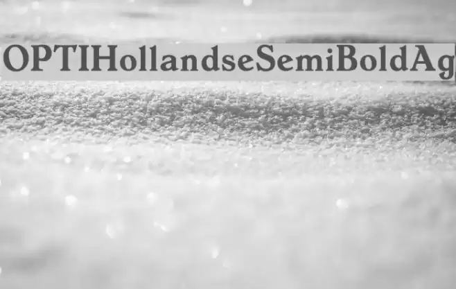 OPTIHollandseSemiBoldAg Font examples