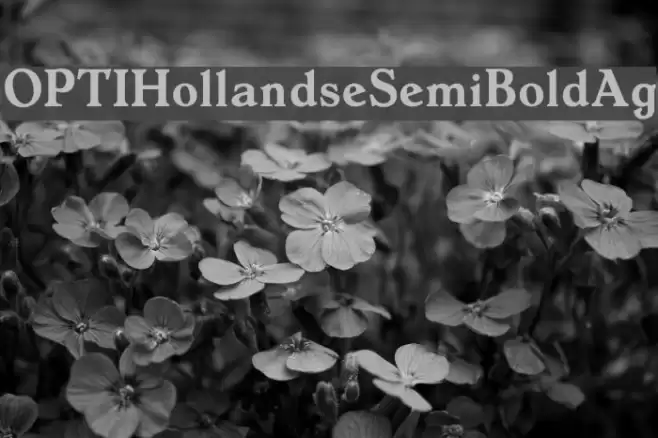 OPTIHollandseSemiBoldAg Font examples