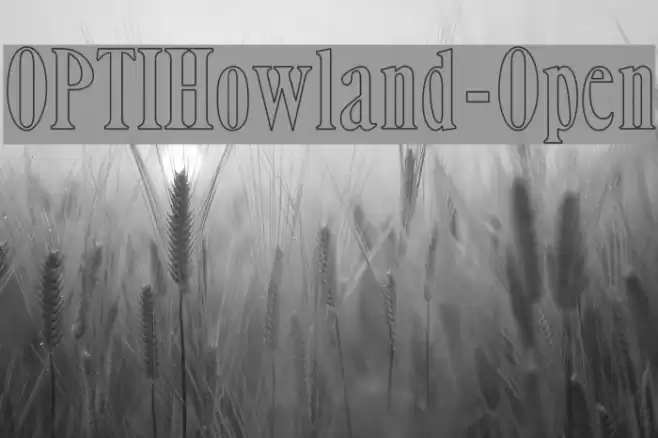 OPTIHowland-Open Font examples