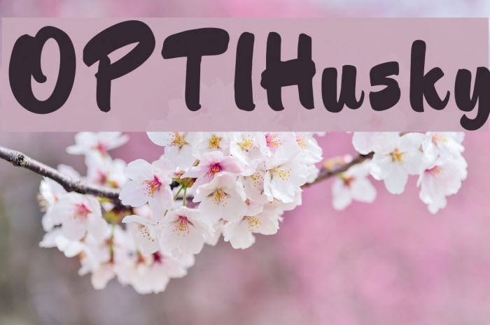 OPTIHusky Font examples