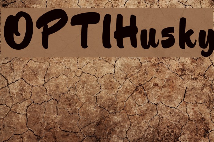 OPTIHusky Font examples