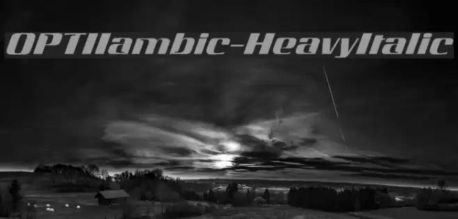 OPTIIambic-HeavyItalic Font examples