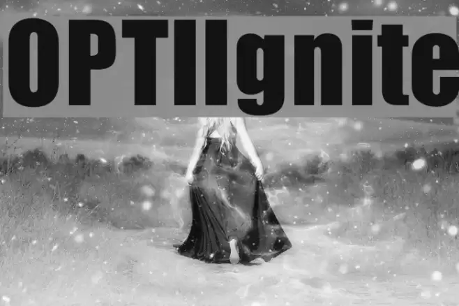 OPTIIgnite フォント examples
