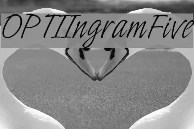 OPTIIngramFive Font examples