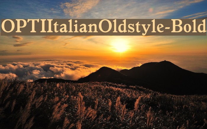 OPTIItalianOldstyle-Bold Font examples