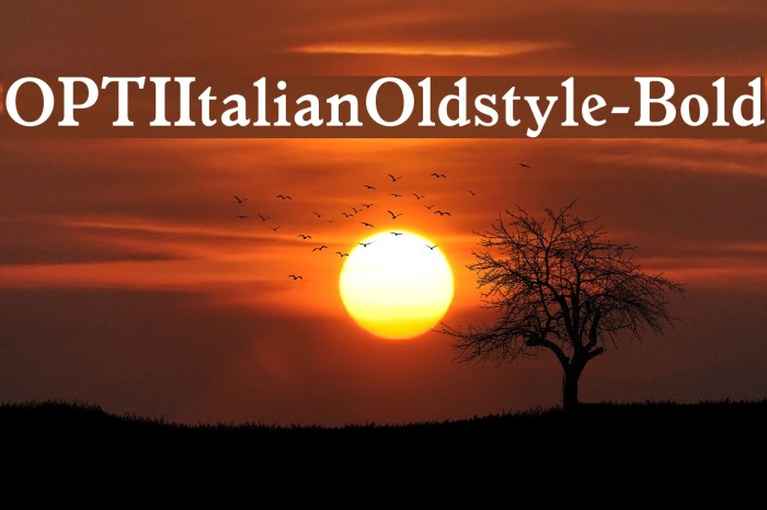 OPTIItalianOldstyle-Bold Font examples
