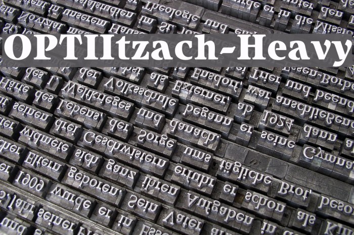 OPTIItzach-Heavy フォント examples