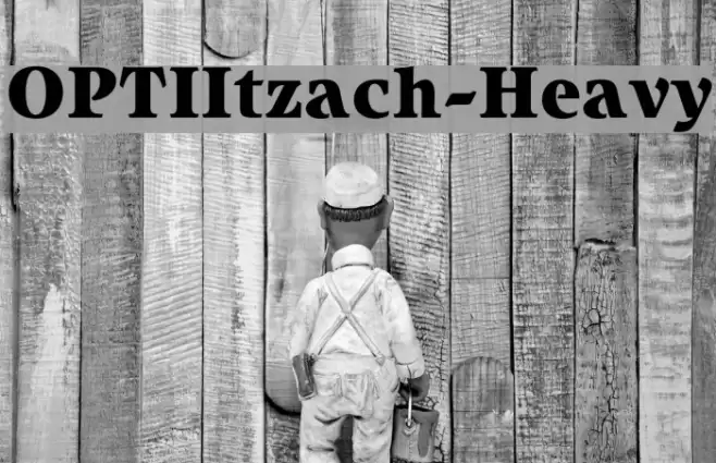 OPTIItzach-Heavy フォント examples