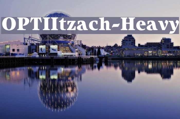OPTIItzach-Heavy フォント examples