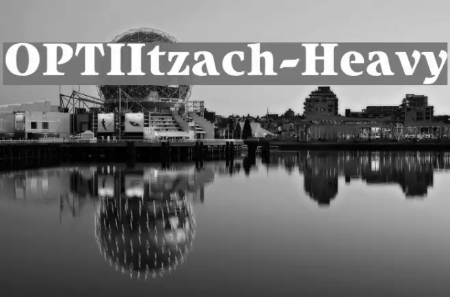 OPTIItzach-Heavy フォント examples