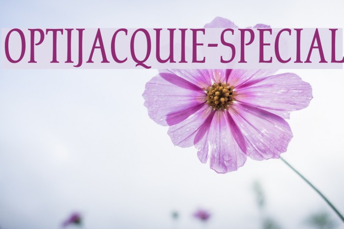 OPTIJacquie-Special Example 3