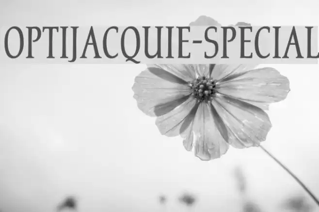 OPTIJacquie-Special Font examples
