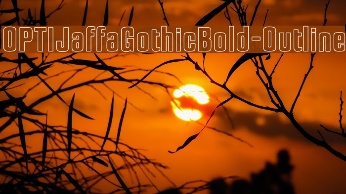 OPTIJaffaGothicBold-Outline Font examples